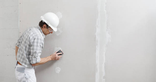  Baden, PA Mold Removal Pros